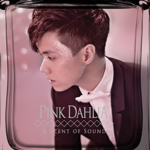 后进丰满圆润大屁股视频
